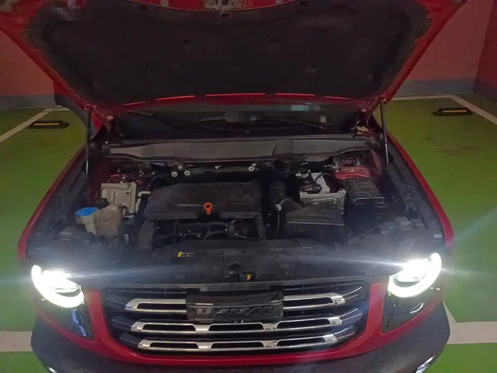 Haval Big Dog — миниатюра 16