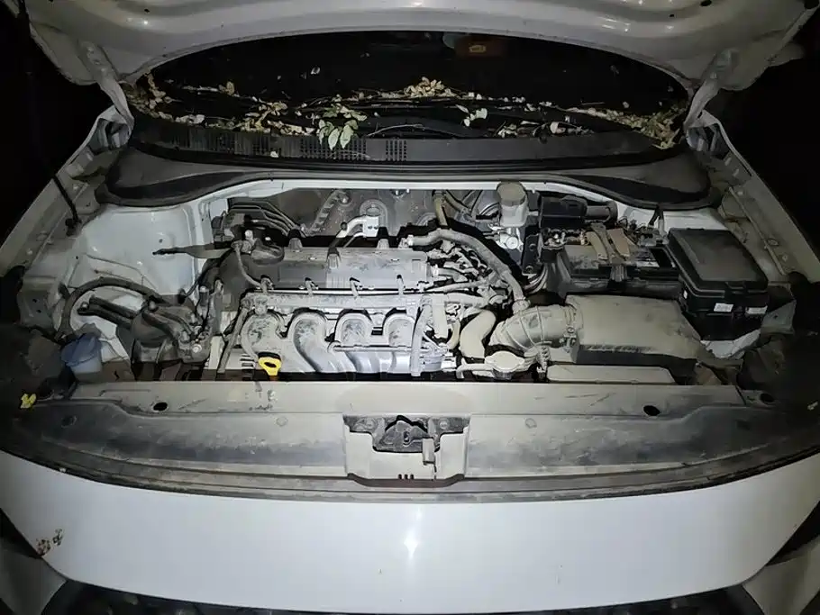 Hyundai Elantra — миниатюра 10