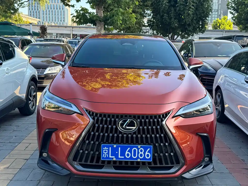 Lexus NX — миниатюра 2