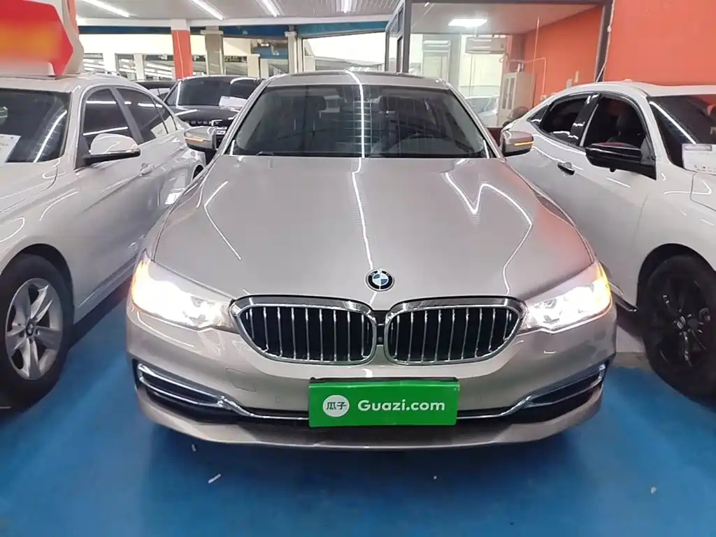 BMW 5 Series 5 2020 525Li Luxury