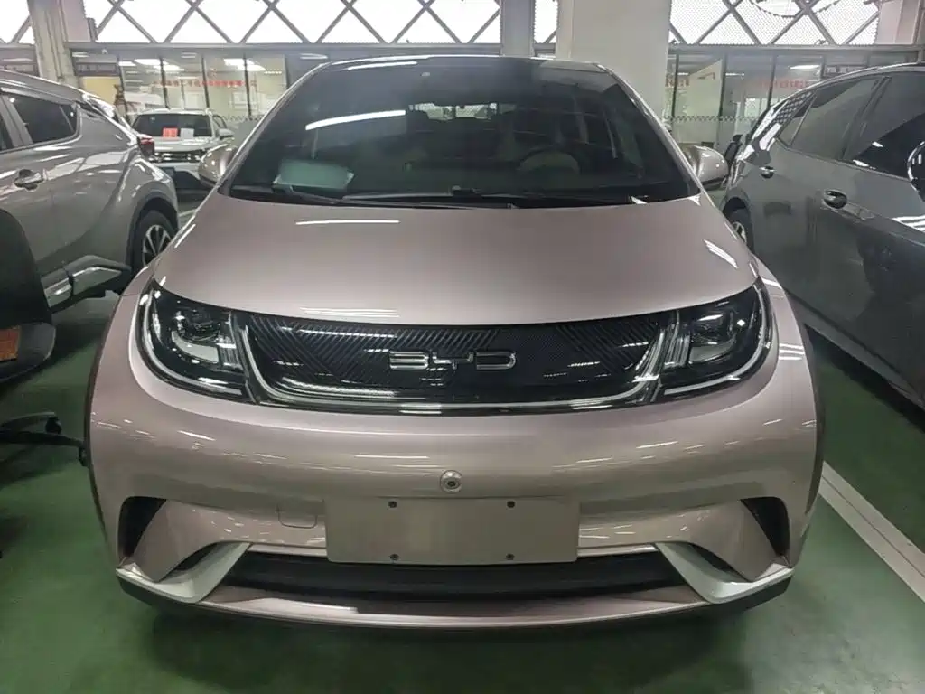 BYD Dolphin — миниатюра 3