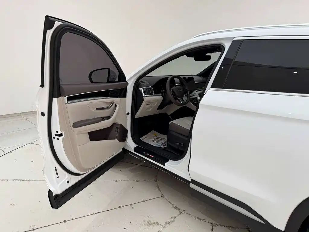 BYD PLUS New Energy — миниатюра 3