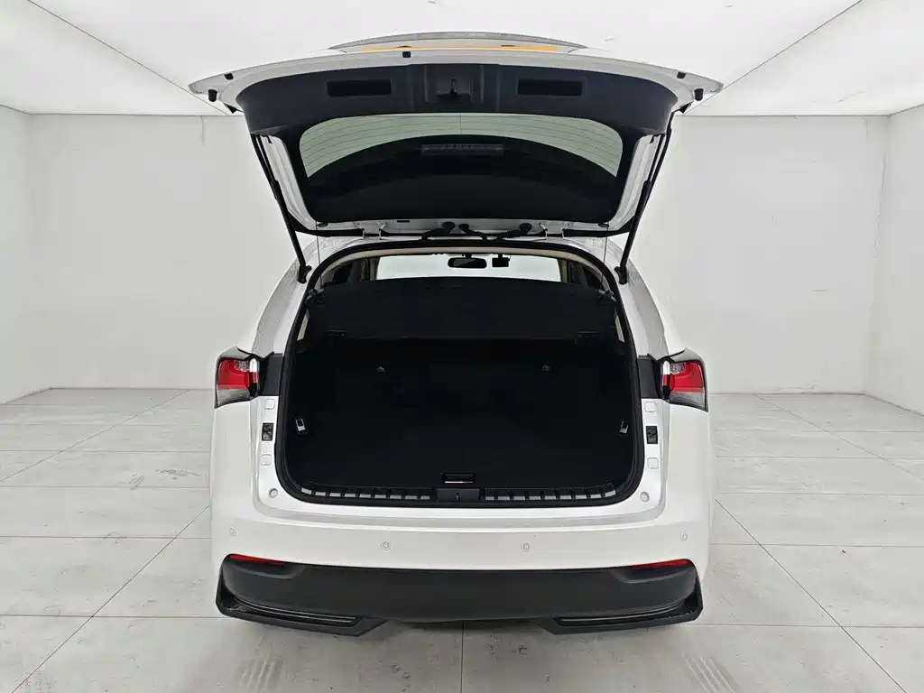 Lexus NX — миниатюра 22