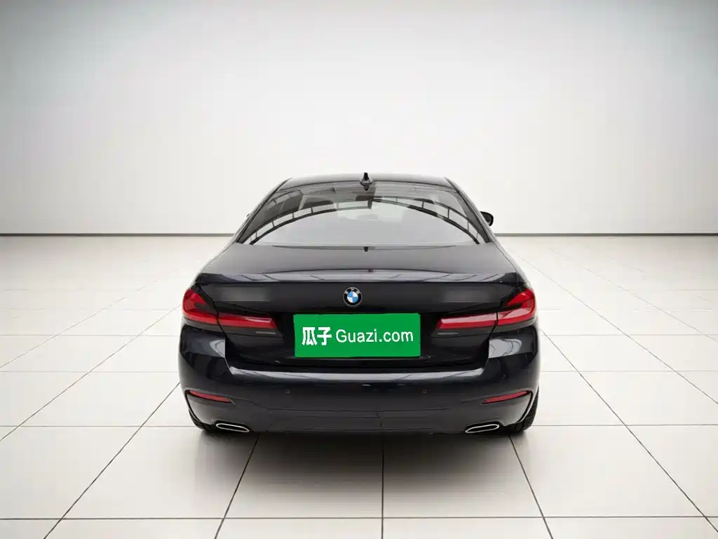 BMW 5 Series — миниатюра 3