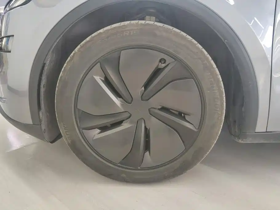 Tesla Model Y — миниатюра 6