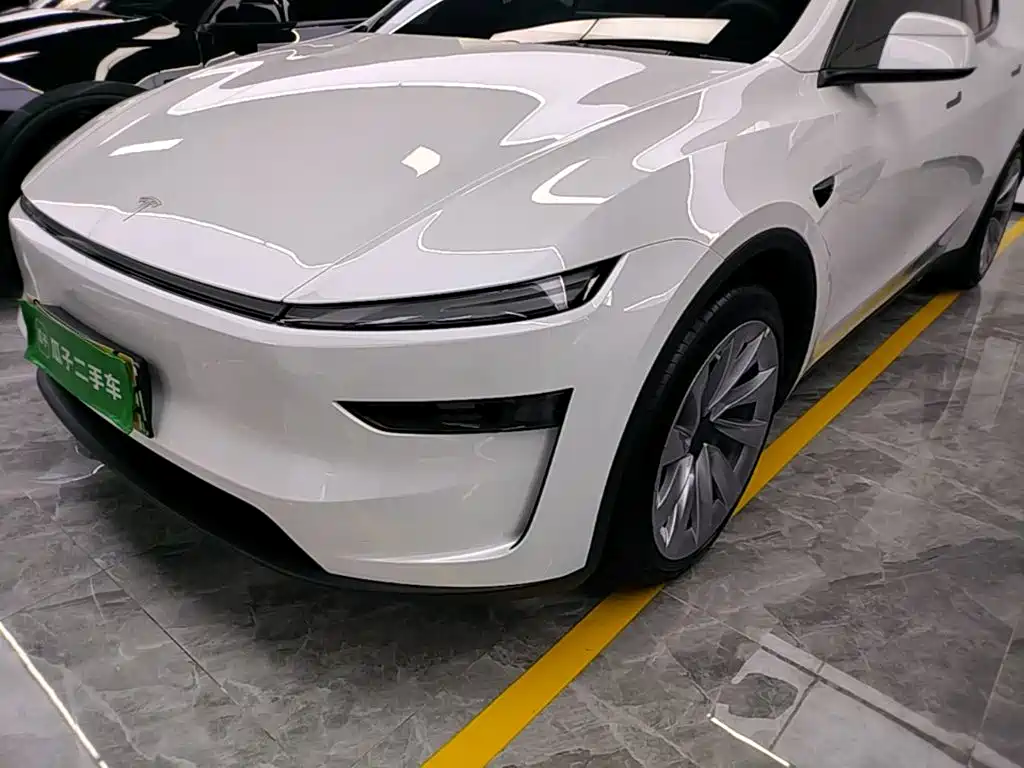 Tesla Model Y — миниатюра 24