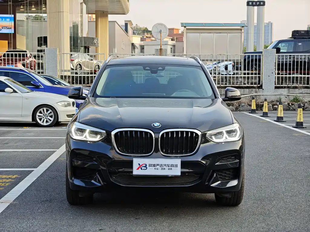 BMW X3 — миниатюра 2