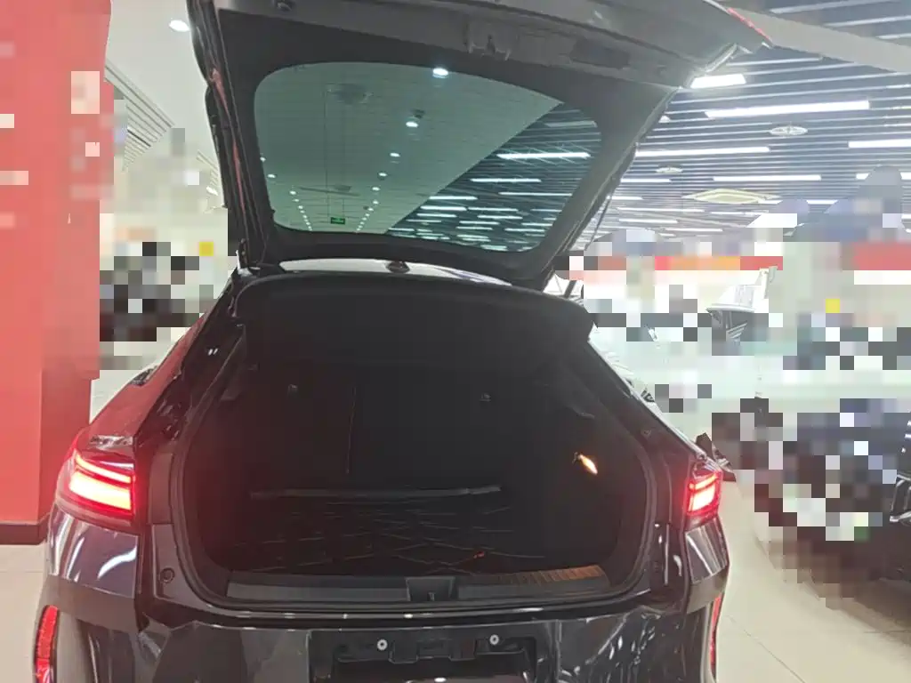 Volkswagen Lamando — миниатюра 19