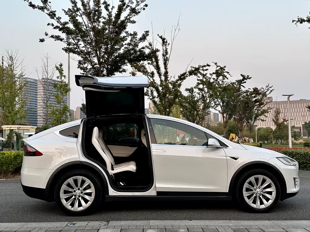 Tesla Model X — миниатюра 8