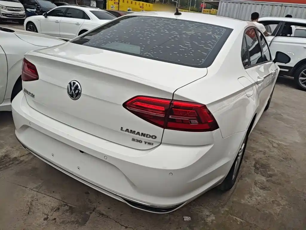 Volkswagen Lamando — миниатюра 7