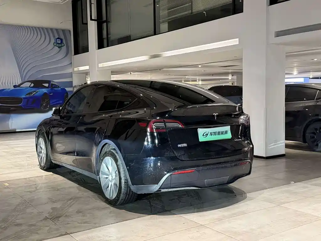 Tesla Model Y — миниатюра 9