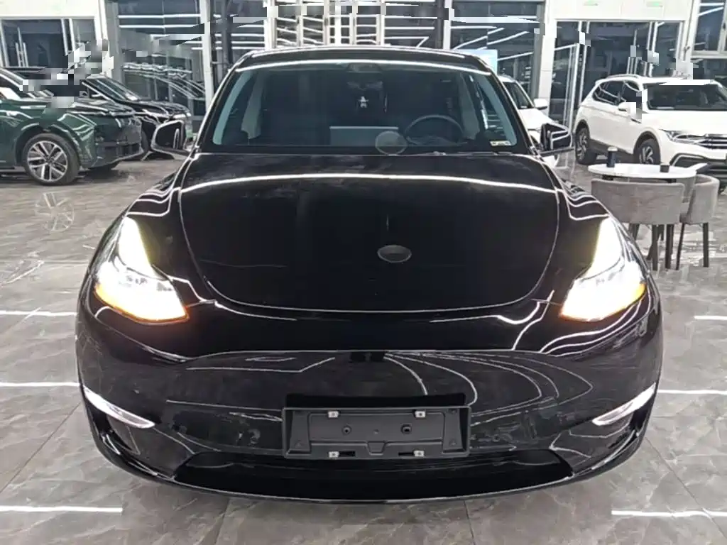 Tesla Model Y — миниатюра 3