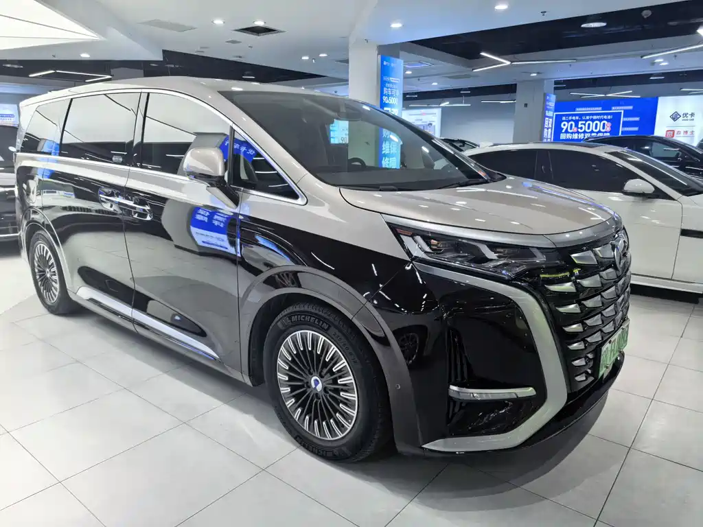 Denza D9 2024 PIONEER мест