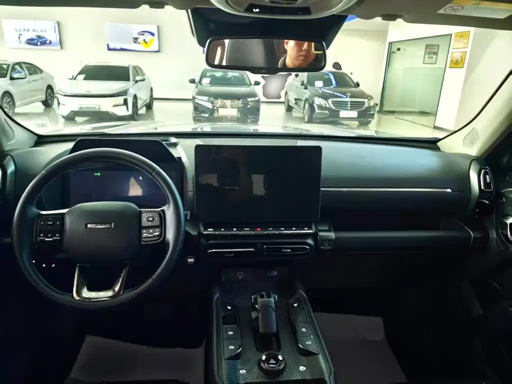 Haval Big Dog PLUS New Energy — миниатюра 10