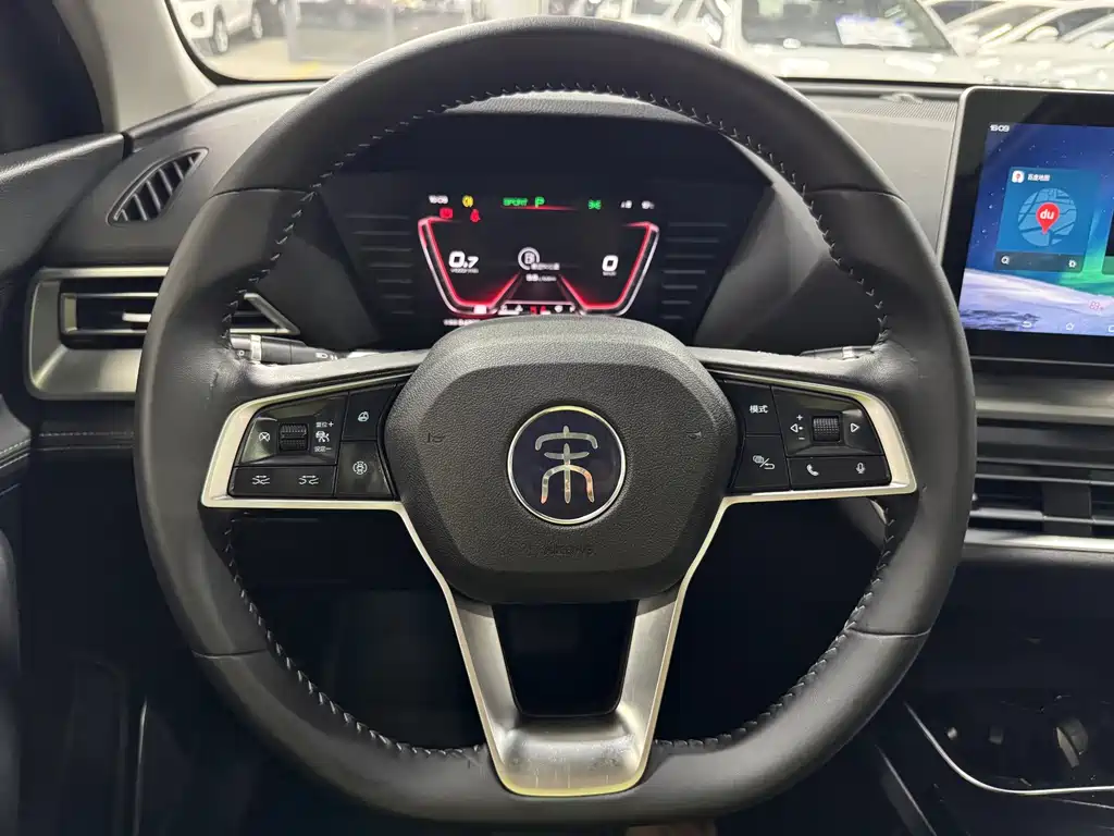 BYD Pro — миниатюра 14