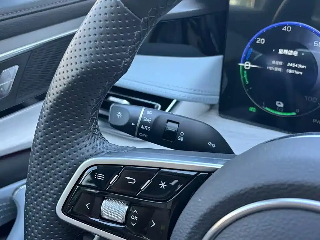Hongqi Hongqi H5 PHEV — миниатюра 25