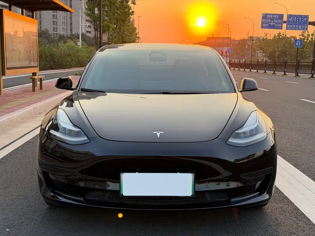 Tesla Model 3 — миниатюра 2