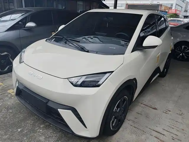 2024 BYD Seagull