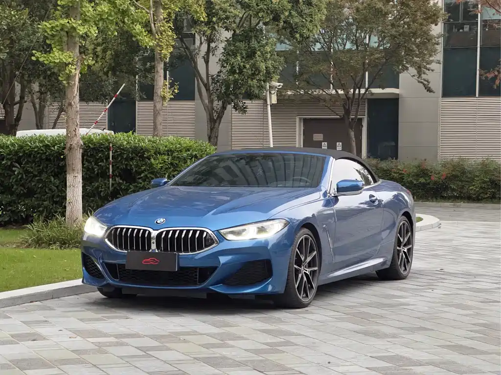 BMW 8 SERIES