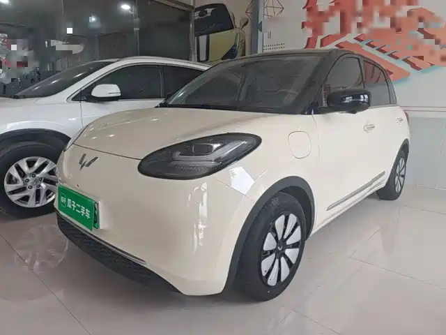 2025 Wuling Motors Binguo