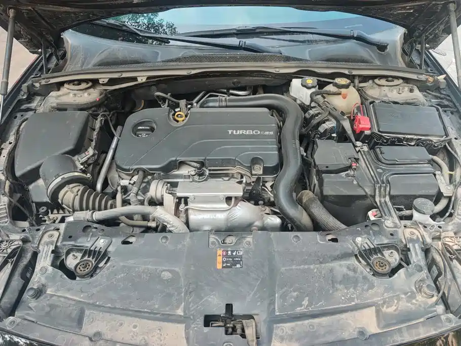 Buick Regal — миниатюра 10