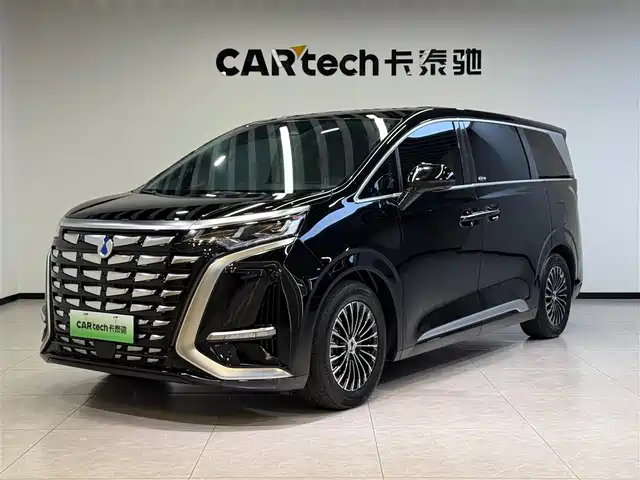 2025 Denza D9