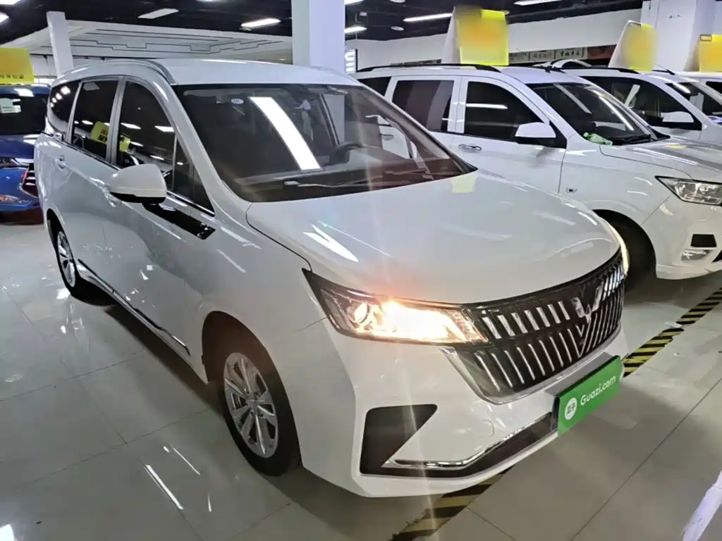Wuling Jiachen — миниатюра 4