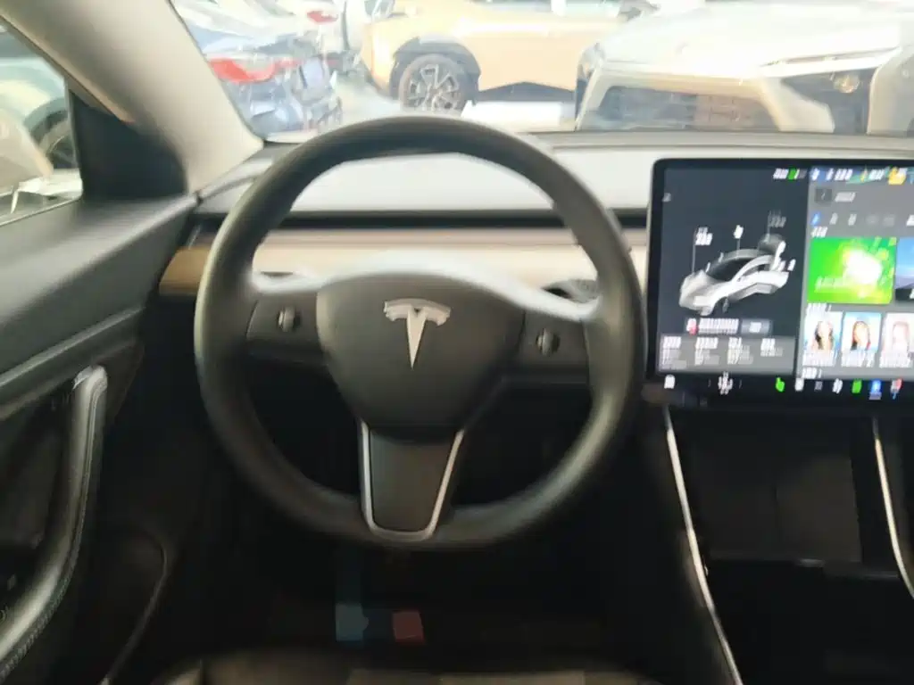Tesla Model 3 — миниатюра 11