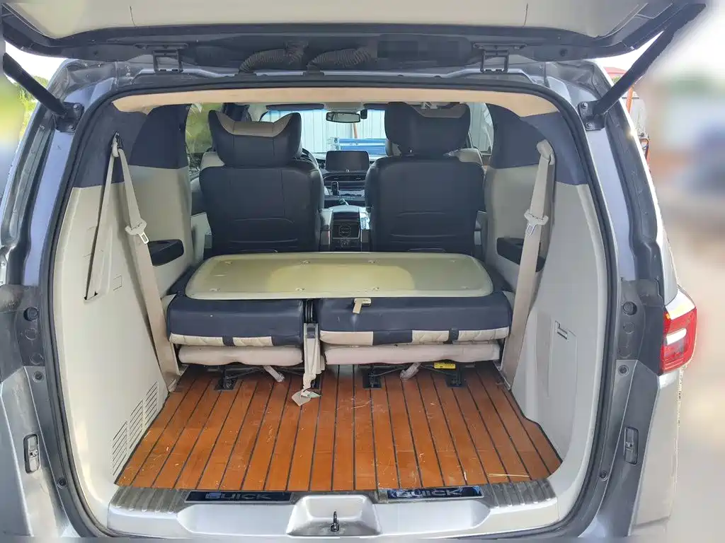 Buick GL8 — миниатюра 15