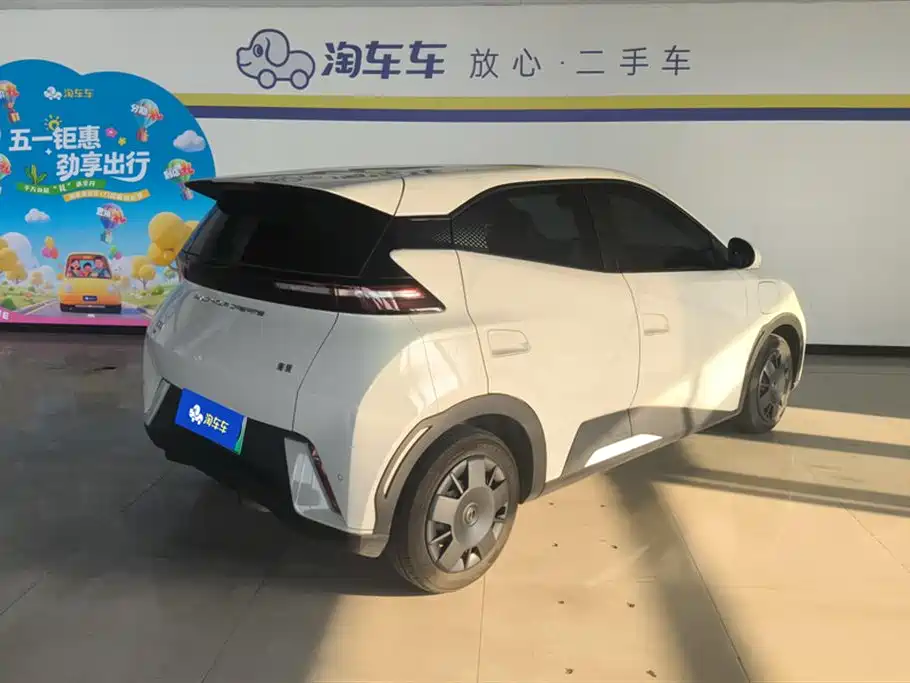 BYD Seagull 2024 305km