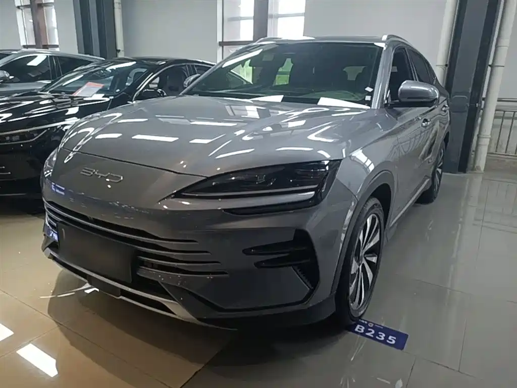 Byd PLUS New Energy 2024