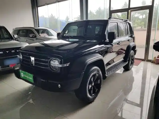 Tank 300