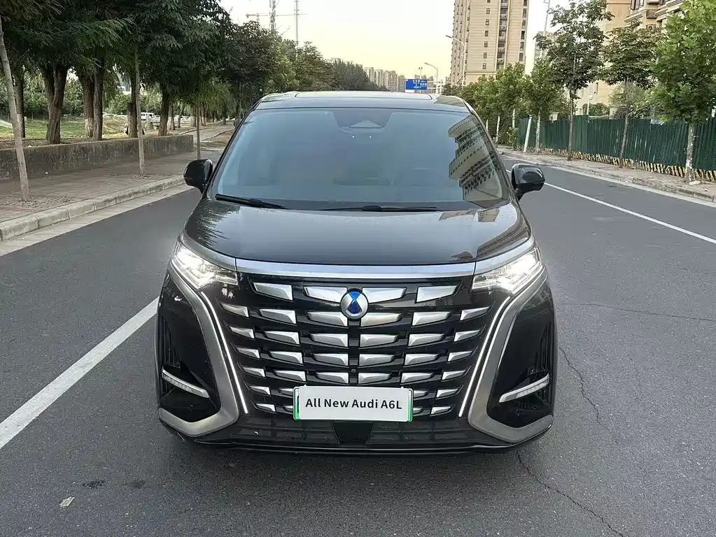 Denza Denza D9 — миниатюра 2