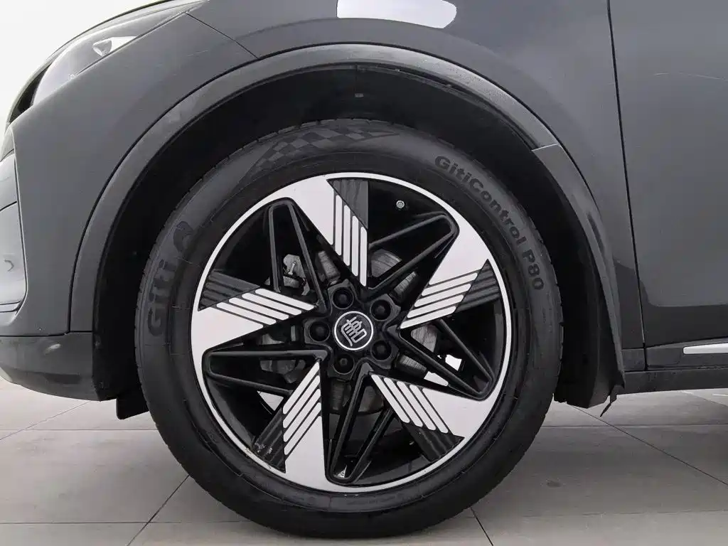 BYD Tang New Energy — миниатюра 17