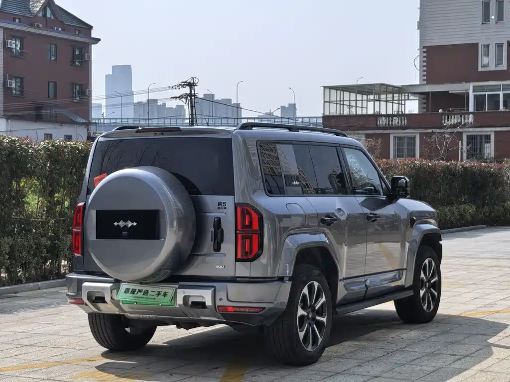 FANG CHENG BAO LEOPARD 5