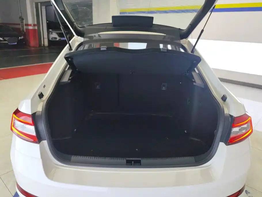 Skoda Octavia 2019 1.5L AT Luxury V