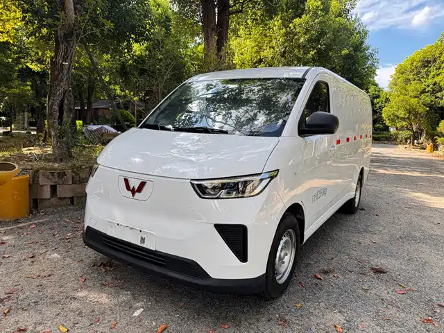 2025 Wuling Motors Yangguang