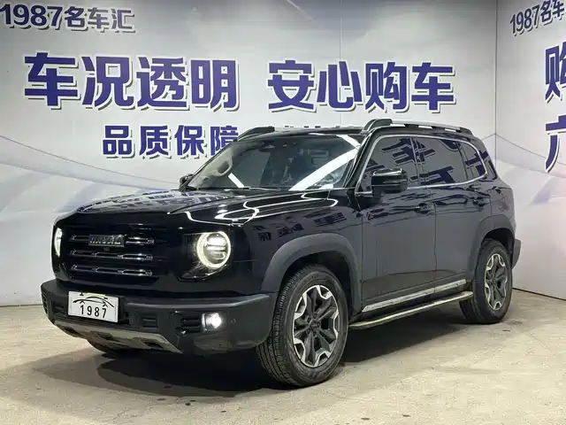HAVAL BIG DOG