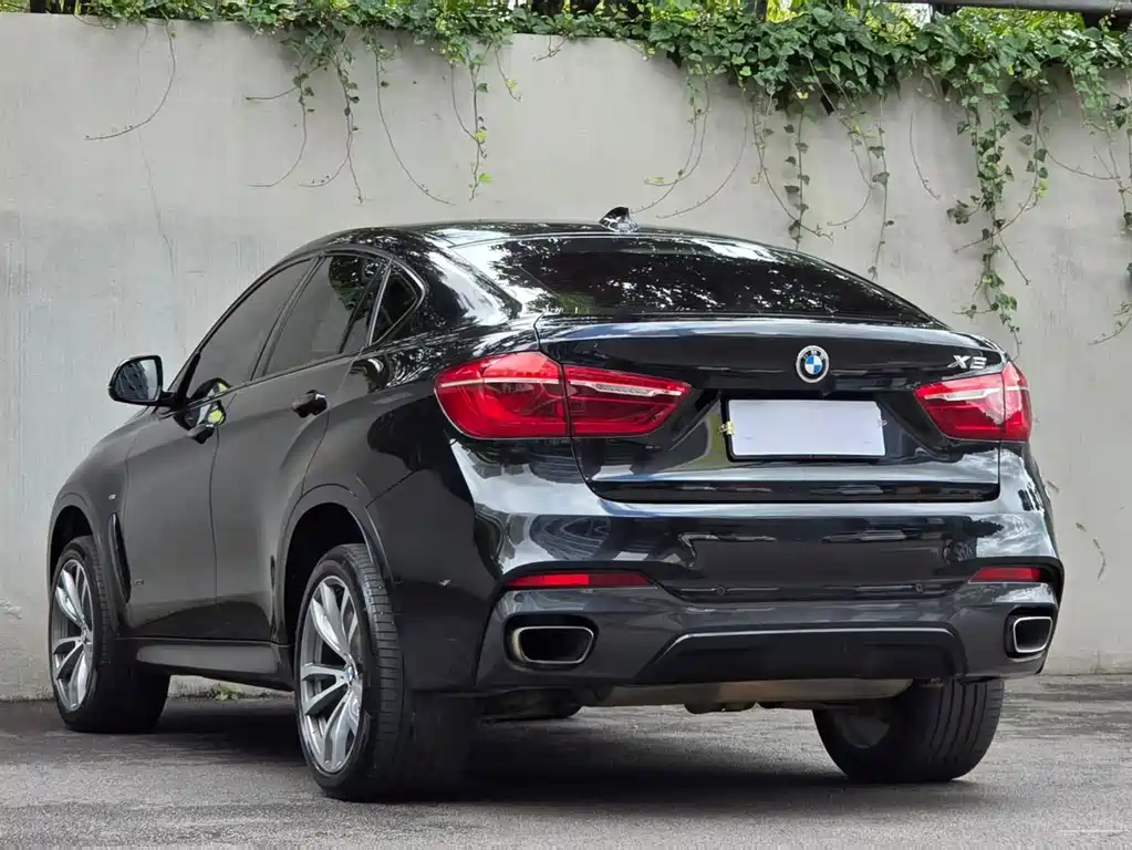 BMW X6 — миниатюра 7