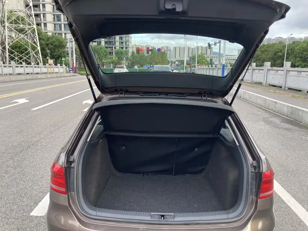 Volkswagen Gran Lavida — миниатюра 9