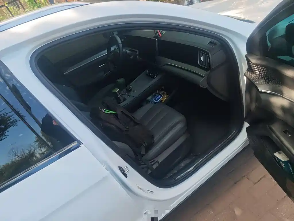 BYD Pro New Energy — миниатюра 19