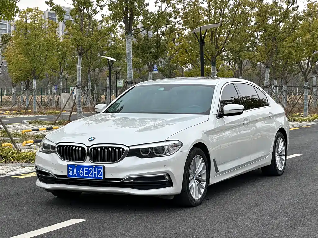 BMW 5 Series 2019