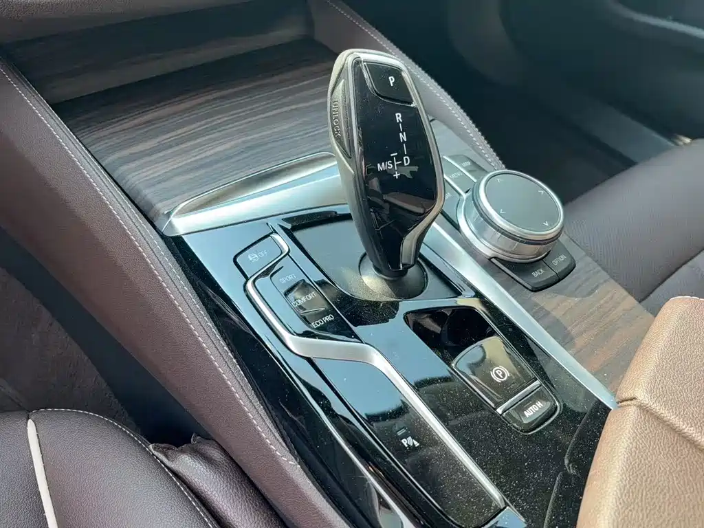 BMW 5 Series 5 2021 530Li Lead Luxury