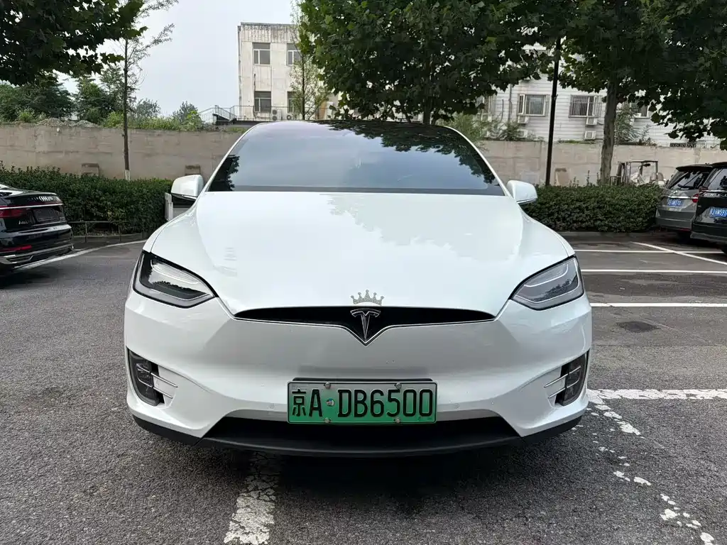 Tesla Model X 2017 Model X 100D