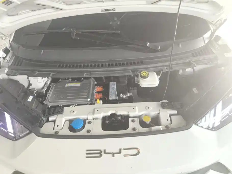 BYD Seagull 2024 305km