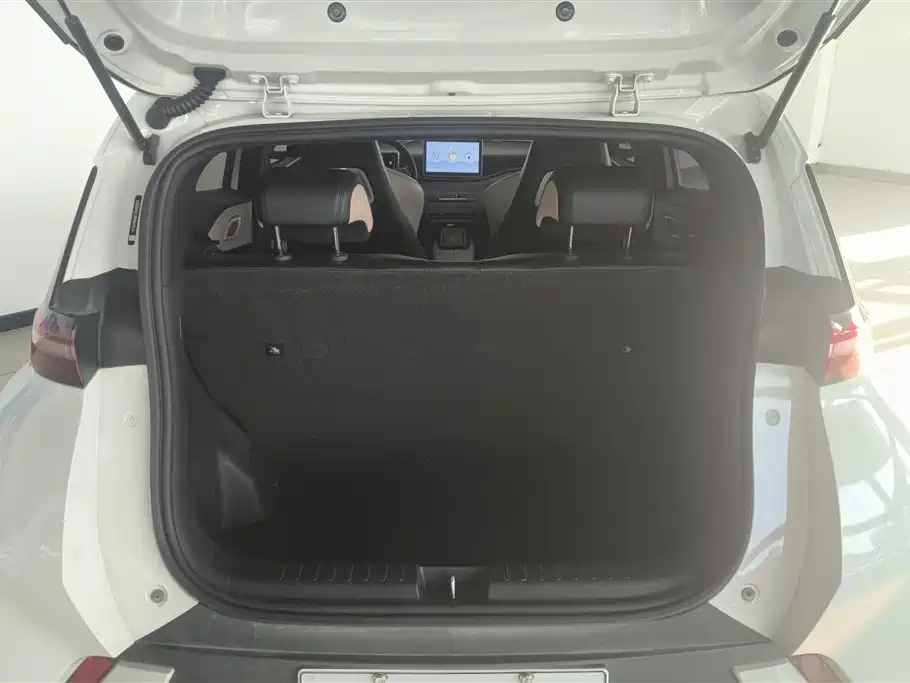 BYD Seagull 2024 305km