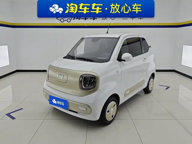 2024 Bestune Pony