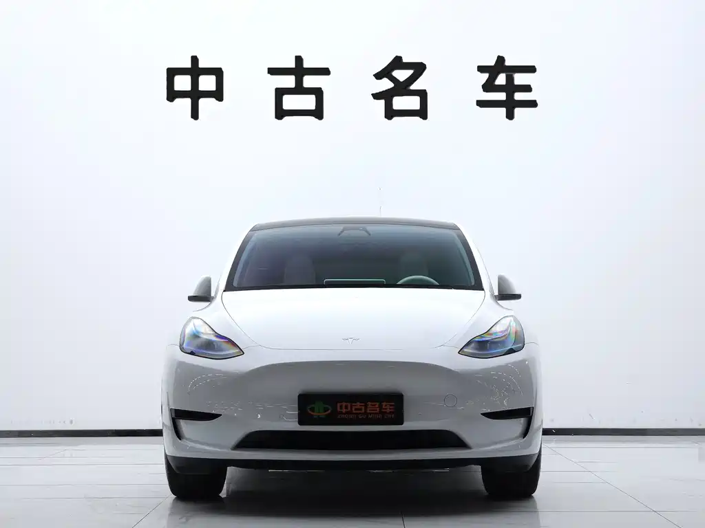Tesla Model Y — миниатюра 2