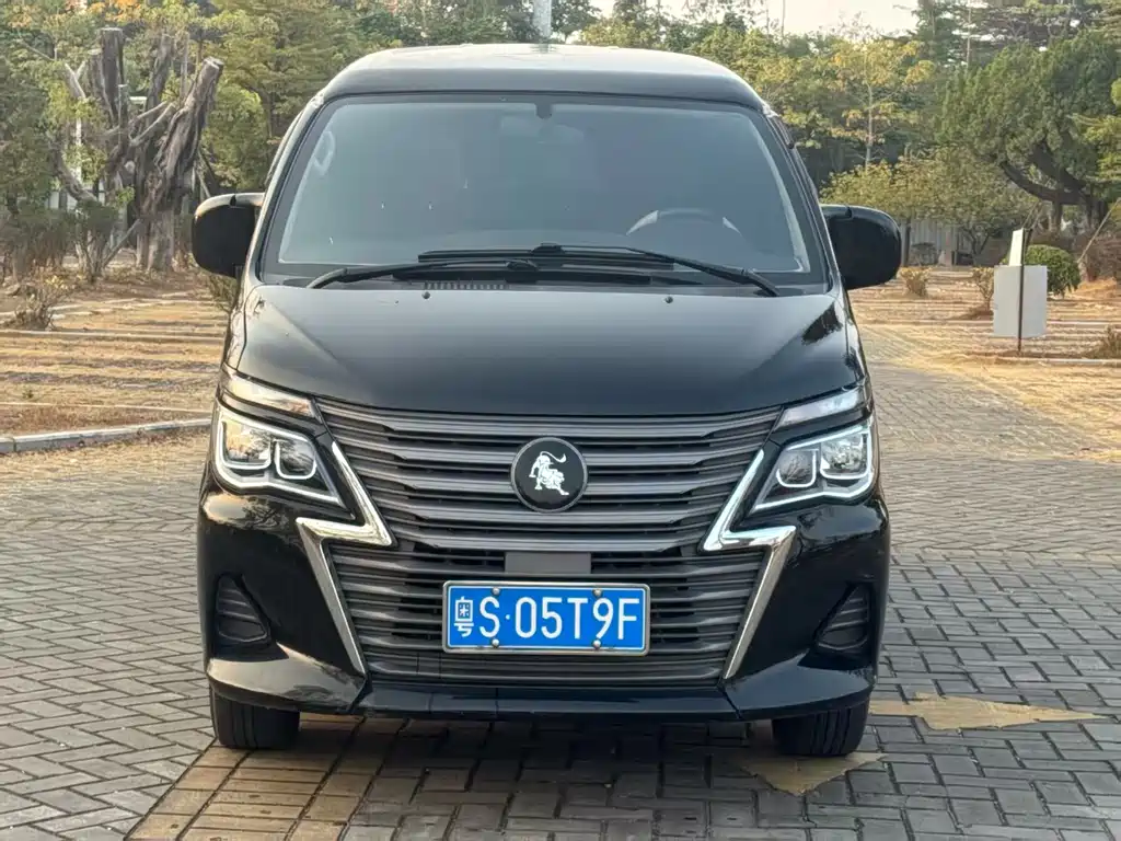 DONGFENG LINGZHI