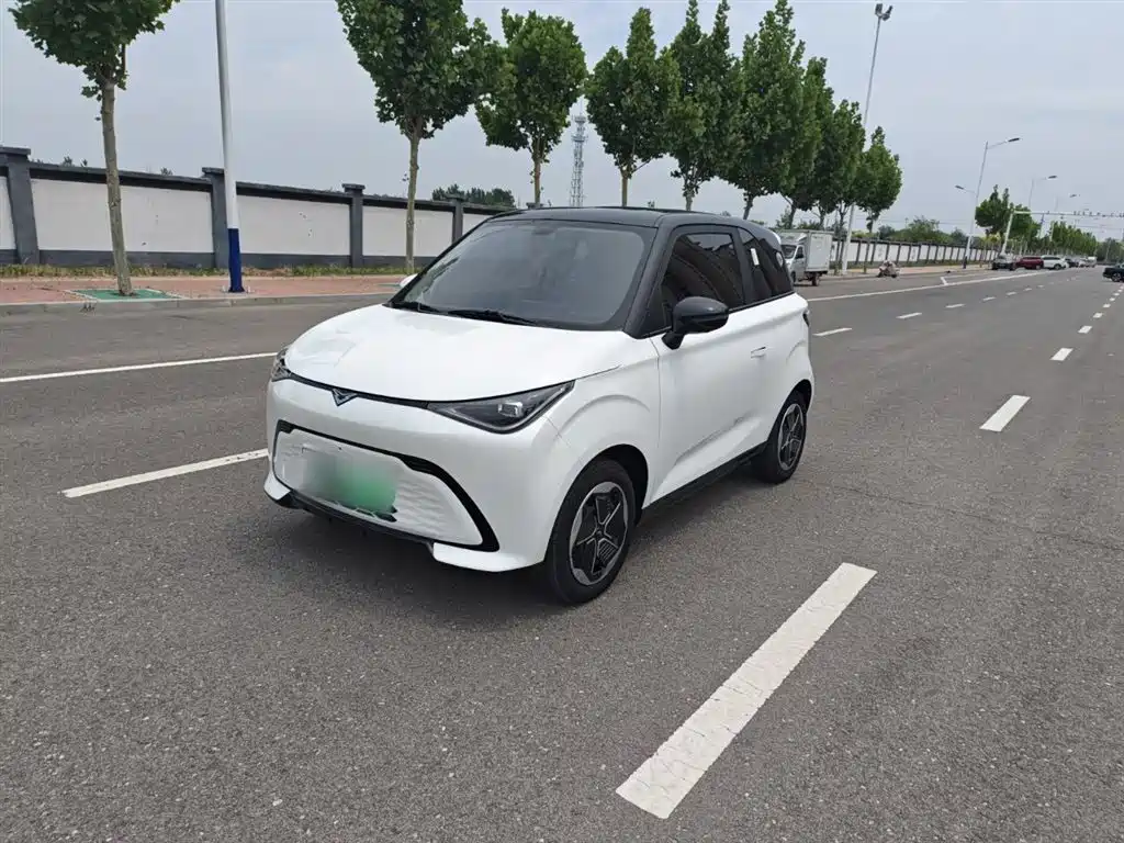 Cowin Shiyue 2024